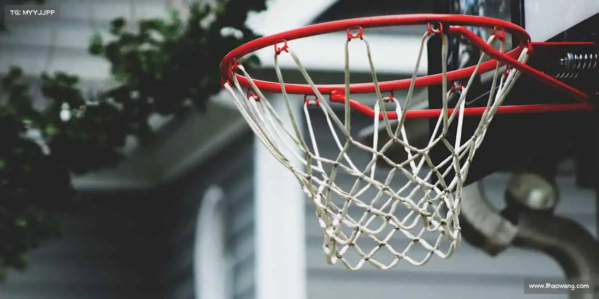 华人策略研究论坛app——🏇策马奔腾，草原骑士的不羁灵魂！